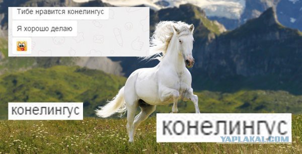 Деграклассники (4)