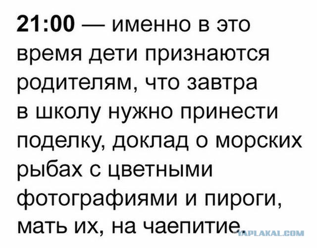 Соцсети - и смех и грех