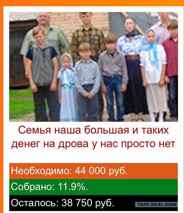 Яжематери осваивают собирательство