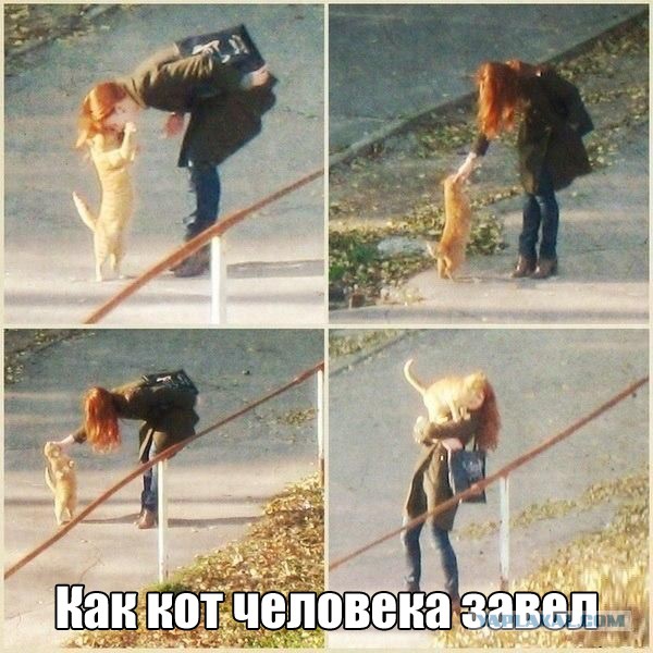 Вольному - воля