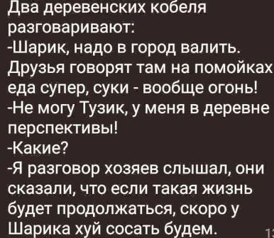 Пятничные ШутЯПки