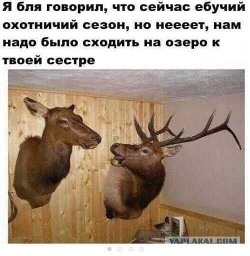 От работы оторвись и к картинкам присмотрись!