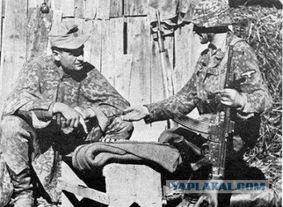 Находка на чердаке во время ремонта. StG 44