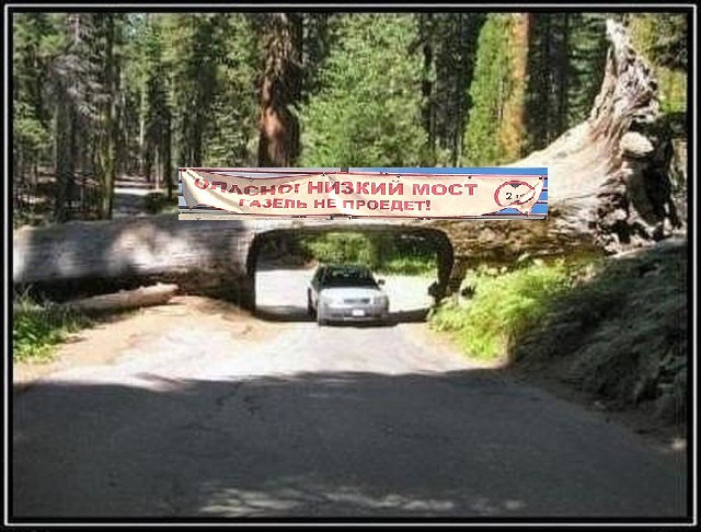 Фотовитамины