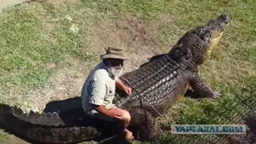 Быдлан на старом каене