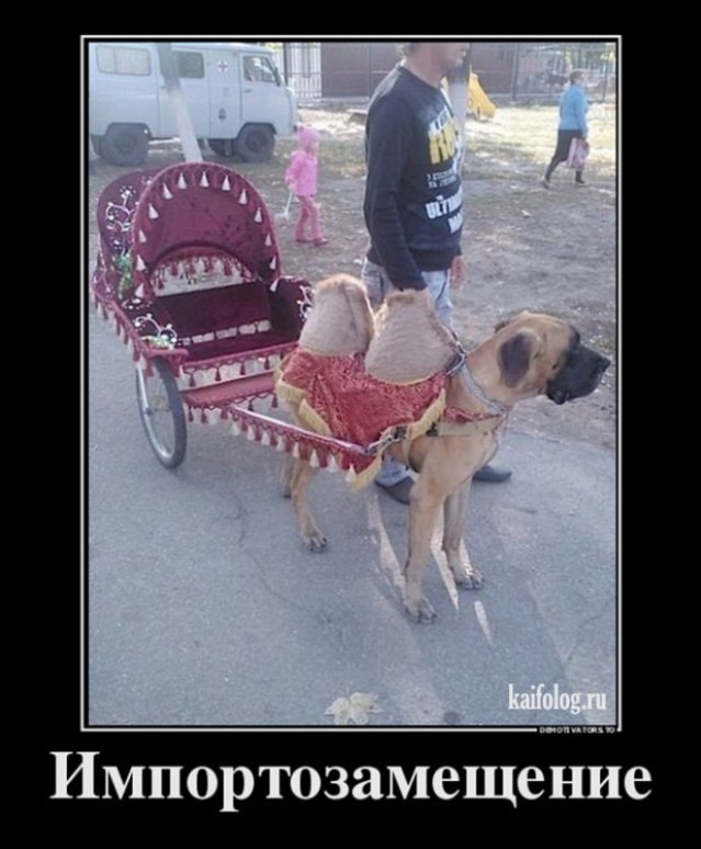 Что тут происходит?
