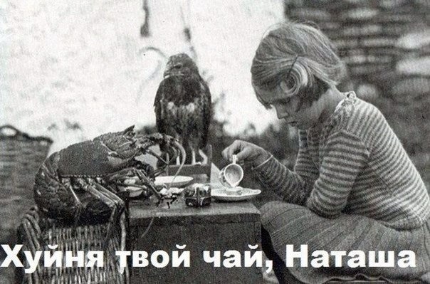 Немного картинок на сон грядущий