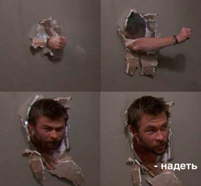 Товары, которые мы заслужили