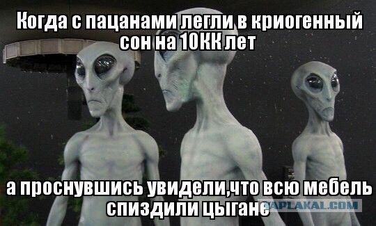 Картинки с надписями,истории и анекдоты
