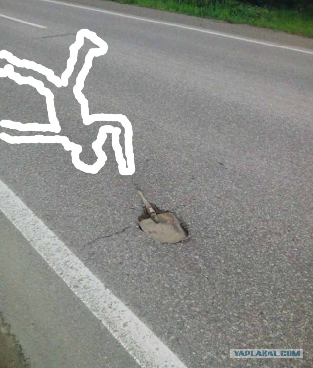 Субботняя фотоподборка