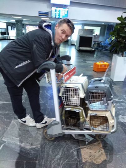 Помогите вернуть кота! Приют "Преданное сердце" украл кота и не отдает!-2