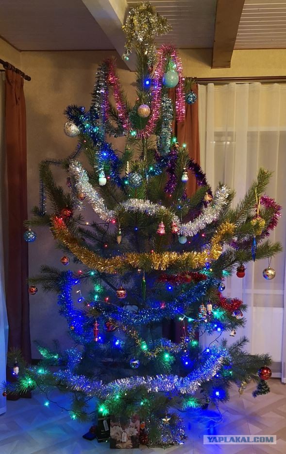 Хвастаемся своими елками!