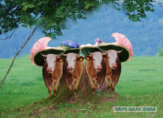 Как ты думаешь, измена скора отпустит?
