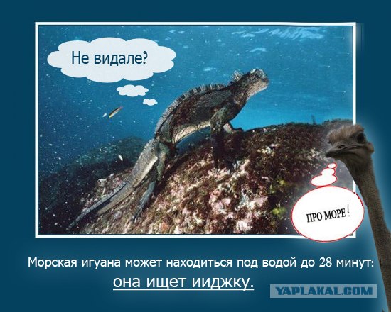 Фотожаба на пятницу