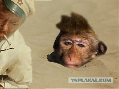 Проспал экзамен!