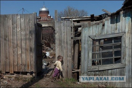 Фото из жизни. Деревенские обыватели