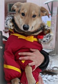 Не бойтесь развода. Женская версия