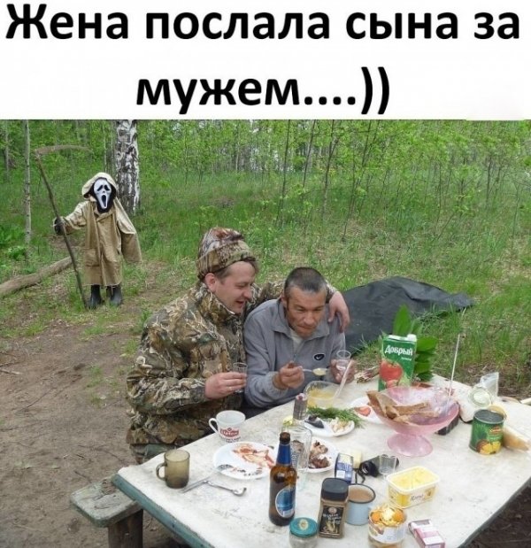 Прикольные и просто красивые картинки 19.11.2020
