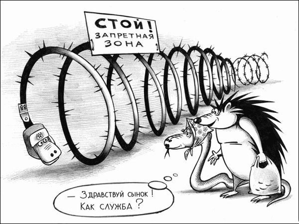 Юмор и прикольные картинки 14.05.2021