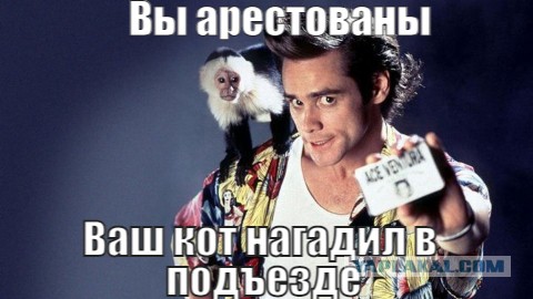 Путин поручил создать законопроект об учете домашних животных