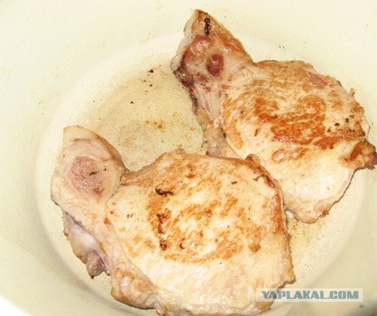 Эксперименты с мясом