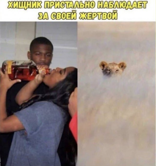 Алкопост 9.07.21