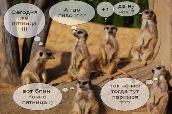 Алкоюмор на пятницу 16.07.2021