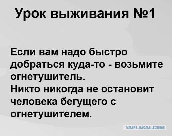 Всяческие картинки 22.11.2021