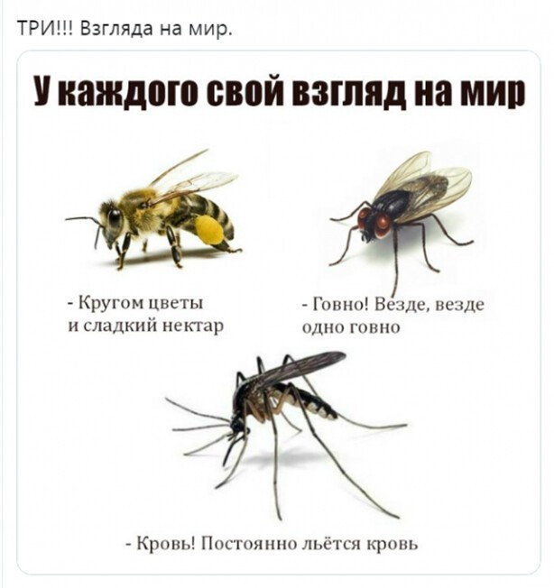 Так себе картинки 07.04.22