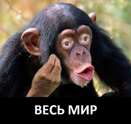 Иран объявил о завершении первой отправки российских грузов в Индию по транспортному коридору Север-Юг