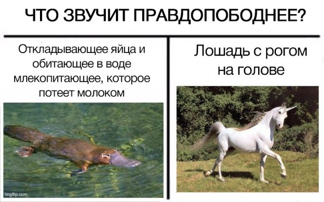 Немного картинок."Колбасный ветер". Август