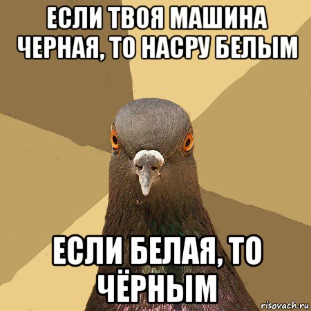 Почему голубятни были почти в каждом дворе советской Москвы?