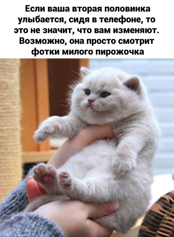 Так себе картинки 23.02.23