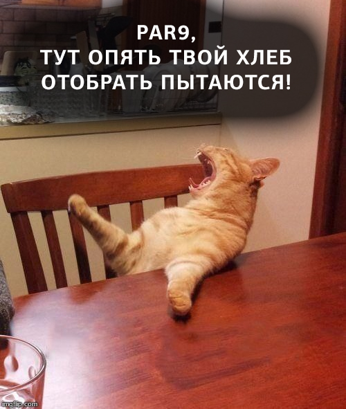 Мимо этой истории никто не сможет пройти мимо