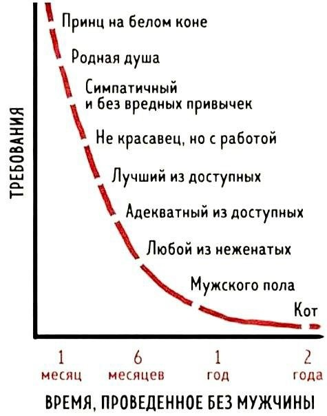 Чтобы дрался по выходным и вставил зубы: необычные требования девушек к мужчинам
