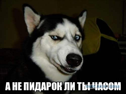 В ростовском Аксае установили личность мужчины, который избил ребёнка с инвалидностью за то, что тот потрогал его мотоцикл