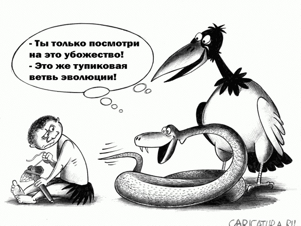 Так себе картинки 11.10.24