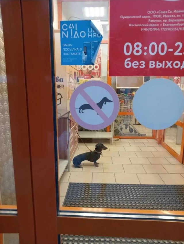 Так себе картинки 27.10.24