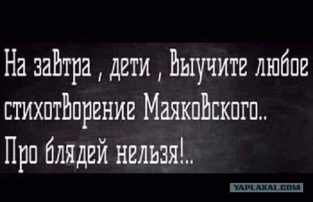 Так себе картинки 04.11.24