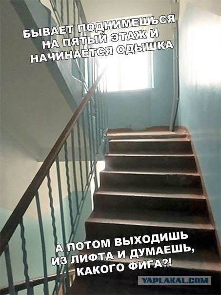 Проверьте своё сердце