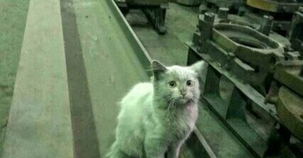 Что может скрасить работу в воскресенье?