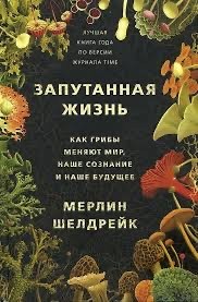 Прикольные и просто красивые картинки 28.01.2025