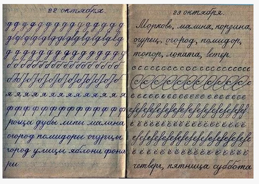 12-летнее обучение в школах хотят ввести в России