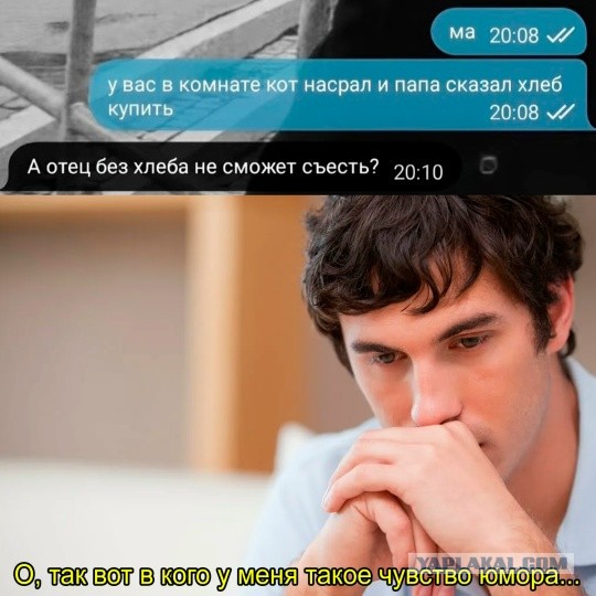 Прикольные и просто красивые картинки 25.11.2025