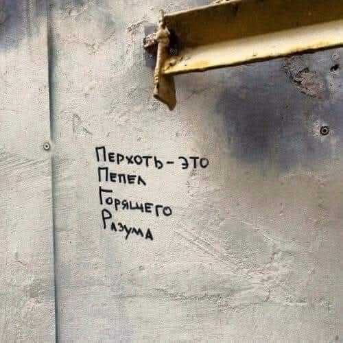 Веселые картинки в пятницу (26.12)