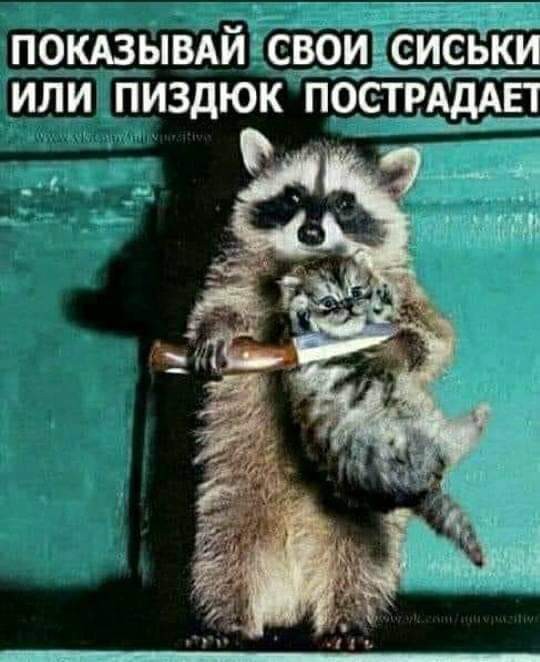 Первый пост
