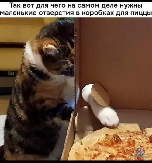 Картиночки, баянчики 09 апреля