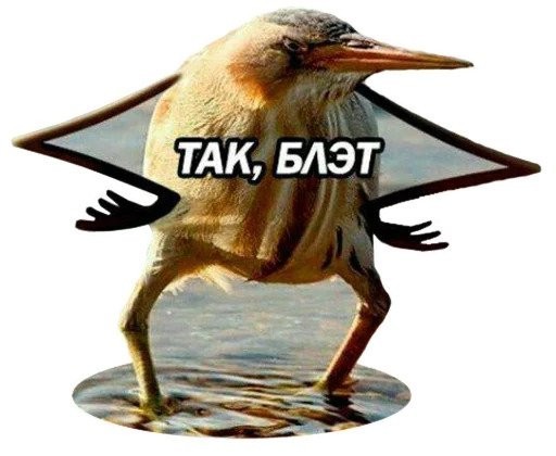 Стой, стой, стой!!!