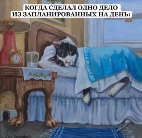 К котовторнику: подборка картинок-баянов с котиками и про котиков. Выпуск 40.
