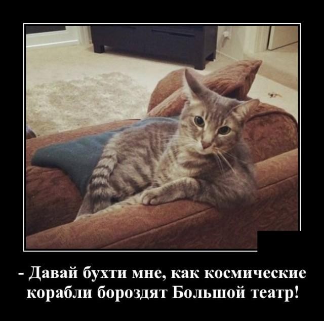 Вчера вечером Севастополь остался без света. Но свет все равно остался